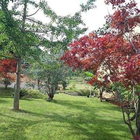 Istanti - Salvia Apartman Costigliole Saluzzo Kültér fotó