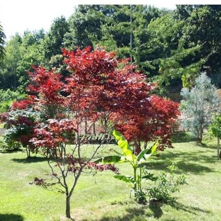 Istanti - Salvia Apartman Costigliole Saluzzo Kültér fotó