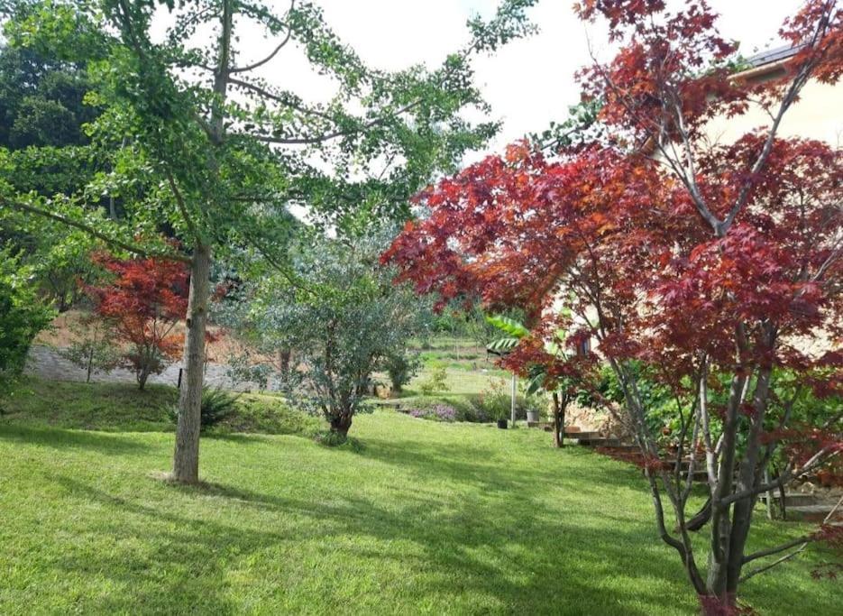 Istanti - Salvia Apartman Costigliole Saluzzo Kültér fotó