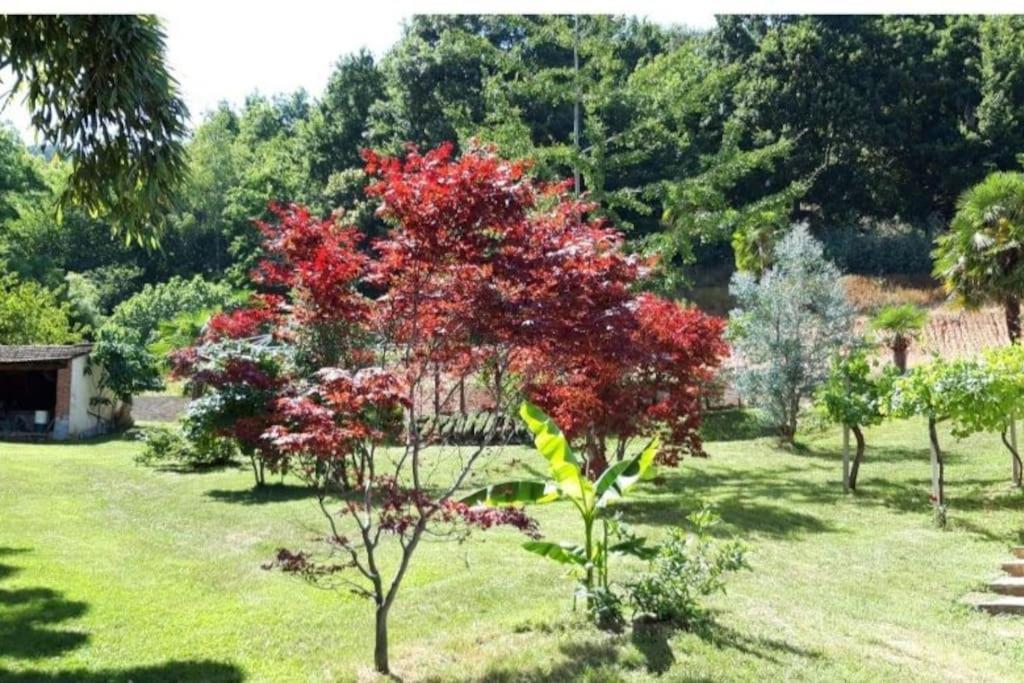 Istanti - Salvia Apartman Costigliole Saluzzo Kültér fotó