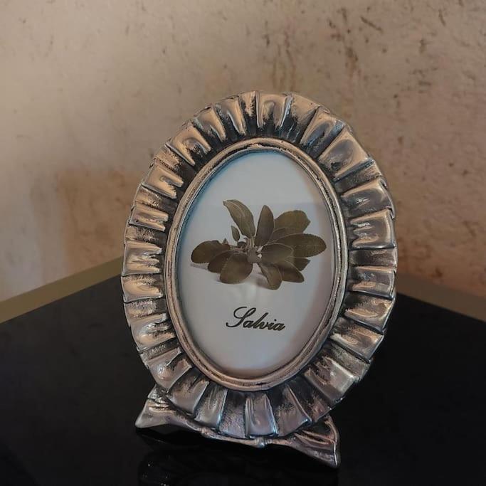 Istanti - Salvia Apartman Costigliole Saluzzo Kültér fotó